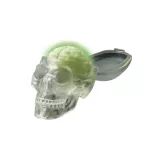4M Kidz Labs - Glow Skull ของเล่นจำลองกะโหลก