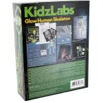 4M Kidz Labs - Glow Human Skeleton ของเล่นจำลองกระดูกมนุษย์