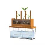 4M  STEM GREEN SCIENCE GROW A MAZE ชุดปลูกพืช ผ่านเขาวงกต มาพร้อม กล่องโปร่งใส กระติกน้ำ และแว่นขยายขนาดเล็ก เพื่อสังเกตการเจริญเติบโต