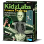 4M Stem Kidz LABS - GLOW HUMAN SKELETON Set of Human Bone Structure With a wrist bone x -ray