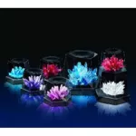 4M  CRYSTAL GROWING EXPERIMENTAL KIT ชุดของเล่นคริสตัล สนุกสนานกับการทำคริสตัลด้วยตนเองได้หลายขนาด