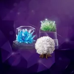 4M  KIDZ LABS - CRYSTAL SCIENCE ชุดคริสตัล สร้างผลึกคริสตัลได้ด้วยตนเอง ของเล่นเสริมทักษะ วิทยาศาสตร์ เสริมสร้างจินตนาการ