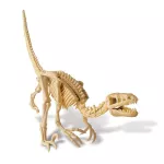 4M  STEM DINOSAUR - DIG A VELOCIRAPTOR SKELETON ชุดของเล่น ขุดซากฟอสซิล ไดโนเสาร์ พร้อมค้อน,พู่กัน และฉาก