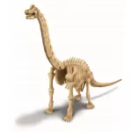 4M Dinosaur Dig a Brachiosaurus Skeleton Set of Dinosaur Dinosaur Surgery with Hammer Helps to strengthen imagination
