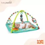 Playjim College Safari comes with Zig Zag Safari toys.