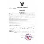 Wellness Tape, Velness, adult diapers, large tape, size M 28 pieces / pack