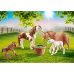 Playmobil 70682 Pony Farm Ponies with Foals Poteni Pony Farm with children