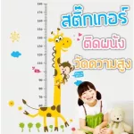 50 types of height measuring stickers At the child height Height wall sticker Wall sticker Bedroom wall sticker