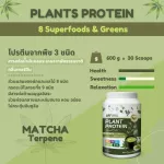 3 vertech nutrition plants Plant Protein Superfoods & Greens, Vigan, vegetables, fruits, fiber, weight loss