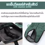 The dog that supports the dog Animal wheelchair Back support line Helping to walk for dogs with weak hind legs Skateboard