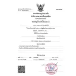 Spare parts for patients Wheelchair spare parts, handbrake, handbrake, lock wheel lock wheel, wheel, wheel At the wheelchair lock