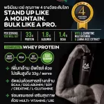 ส่งฟรี Mountain Rock เวย์โปรตีนสูง 33g สูตรเพิ่มน้ำหนัก เสริมสร้างมวลกล้ามเนื้อ  รสชาเขียว ไม่หวาน ไร้น้ำตาล
