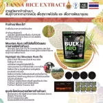 ส่งฟรี Mountain Rock เวย์โปรตีนสูง 33g สูตรเพิ่มน้ำหนัก เสริมสร้างมวลกล้ามเนื้อ  รสชาเขียว ไม่หวาน ไร้น้ำตาล