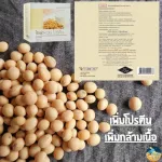 Increase the height, increase protein, increase muscle, soya-whey protein giffarine, Soya Whey, Giffarine protein contains 30 sachets.