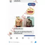 MS Mass Soy Protein Gainr Whey Soybean Soybean Soybean Bases increase muscle, weight loss, losing whey, can eat