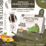 Protein PLANT Plant protein 2 flavors of Hijashi, green tea, protein from peas, east, sunflower seeds, gold pods and potatoes, free 1 box of pearls containing 7 sachets