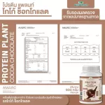 Protein PLANT Formula 1, cocoa protein, 900 grams of chocolate/protein, Platin, Orn, Plant protein, peas, yalan, potatoes.