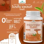 Protein PLANT formula 1, protein, Thai tea flavor, 900 grams/protein, protein, Plants, Orn protein, plants from rice, peas, potatoes, free GMO.