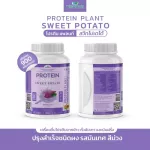 Protein PLANT formula 1, protein, purple, 900 grams/jar, protein, platinic, protein, plants from rice, peas, potatoes.