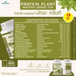 Protein PLANT formula 1, protein, green tea flavor, Matcha 900 grams/protein, Platin, Orn, Plant protein, peas, potatoes, free golf, GMO.