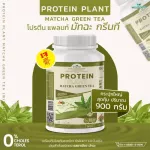 PROTEIN PLANT สูตร 1 โปรตีนพืช รสชาเขียว มัทฉะ 900 กรัม/กระปุก โปรตีนแพลนท์ ออแกรนิค โปรตีนพืชจาก ข้าว ถั่วลันเตา มันฝรั่ง ปลอดกูลเตน ปลอด GMO