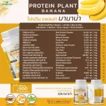 Protein PLANT Formula 1, Banda flavor, banana, 900 grams/protein, protein, plastic protein, plants from rice, peas, potatoes, free GMO.