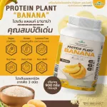 Protein PLANT Formula 1, Banda flavor, banana, 900 grams/protein, protein, plastic protein, plants from rice, peas, potatoes, free GMO.