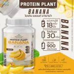 Protein PLANT Formula 1, Banda flavor, banana, 900 grams/protein, protein, plastic protein, plants from rice, peas, potatoes, free GMO.
