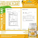 Protein PLANT Formula 1, Banda flavor, banana, 900 grams/protein, protein, plastic protein, plants from rice, peas, potatoes, free GMO.