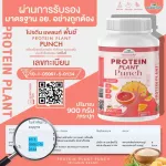 Protein PLANT Formula 1 Plant Plant Protein 900 grams/Protein Plants Ornic protein from peas, peas, potatoes, free GMO