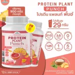 Protein PLANT Formula 1 Plant Plant Protein 900 grams/Protein Plants Ornic protein from peas, peas, potatoes, free GMO