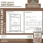 Protein PLANT formula 1 protein, 900 grams of plants/jar, protein, platinic, protein, plants from rice, peas, potatoes.