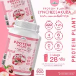 Protein PLANT formula 1, protein, lychee, cherry flavor, 900 grams/protein, Platin, Orn, Plant protein from rice, peas.
