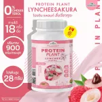 Protein PLANT formula 1, protein, lychee, cherry flavor, 900 grams/protein, Platin, Orn, Plant protein from rice, peas.