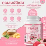 Protein PLANT formula 1, protein, lychee, cherry flavor, 900 grams/protein, Platin, Orn, Plant protein from rice, peas.