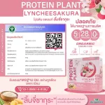 Protein PLANT formula 1, protein, platini, sakura, cherry protein from 3 plants, protein from rice, peas, instant potatoes, 1 box of powder, 7 sachets, 350 grams