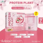 Protein PLANT formula 1, protein, platini, sakura, cherry protein from 3 plants, protein from rice, peas, instant potatoes, 1 box of powder, 7 sachets, 350 grams