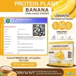Protein PLANT formula 1, protein, planet, flavor, banana, protein from 3 plants, proteins from rice, peas, potatoes, 1 box of powder, 7 sachets, 350 grams