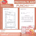 Protein PLANT formula 1, protein, plants, punch, protein from 3 plants, protein from rice, peas, potatoes, 1 box of powder, 7 sachets, 350 grams