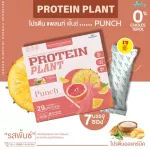PROTEIN PLANT สูตร 1 โปรตีนแพลนท์  รสพั้นช์  โปรตีนจากพืช 3 ชนิด โปรตีนจากข้าว ถั่วลันเตา มันฝรั่ง ปรุงสำเร็จชนิดผง 1 กล่อง 7 ซอง 350 กรัม