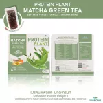 Protein PLANT Plant protein formula 2, Matcha, green tea, protein from rice, peas.