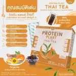Protein PLANT Thai Tea Plant Protein 2 flavors of Thai tea protein from rice, peas, stove, sunflower seeds, gold pods and potatoes, free 1 box of pearls containing 7 sachets.