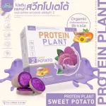 Protein PLANT Plant protein 2, purple sermon, protein from rice, peas.