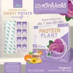 Protein PLANT Plant protein 2, purple sermon, protein from rice, peas.