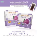 Protein PLANT Plant protein 2, purple sermon, protein from rice, peas.
