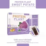 Protein PLANT Plant protein 2, purple sermon, protein from rice, peas.