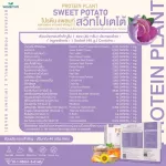 Protein PLANT Plant protein 2, purple sermon, protein from rice, peas.