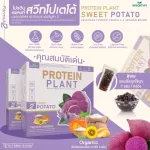 Protein PLANT Plant protein 2, purple sermon, protein from rice, peas.