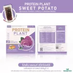 Protein PLANT Plant protein 2, purple sermon, protein from rice, peas.