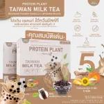 Protein Plant, Plant protein, 2 flavor, Taiwan milk tea, protein from rice, peas.